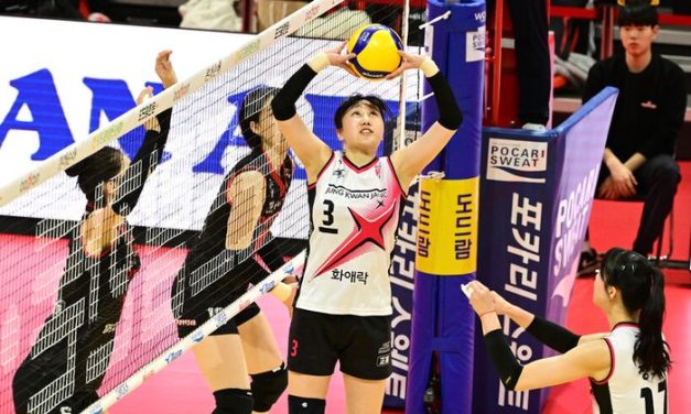 Tim Beregu Volly Olahraga Yang Memiliki Strategi