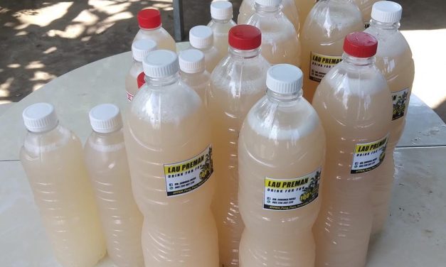 Minuman Di Fermentasi Menghasilkan Tuak Beralkohol