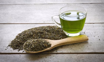 Camellia Sinensis Sejenis Minuman Teh Yang Tidak Oksidasi