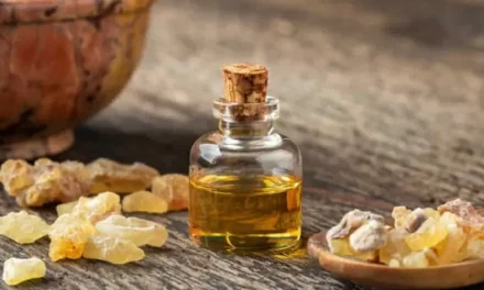 Getah Kemenyan Yang Banyak Di Pergunakan Untuk Mistis