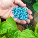 Bahan Pertumbuhan Pupuk Untuk Berbagai Tanaman