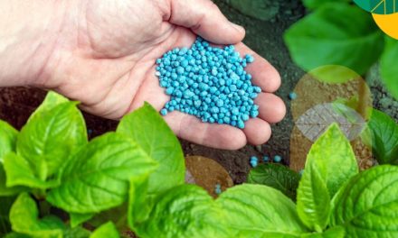 Bahan Pertumbuhan Pupuk Untuk Berbagai Tanaman