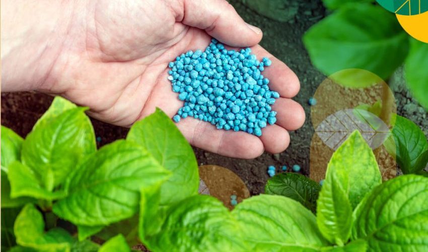 Bahan Pertumbuhan Pupuk Untuk Berbagai Tanaman