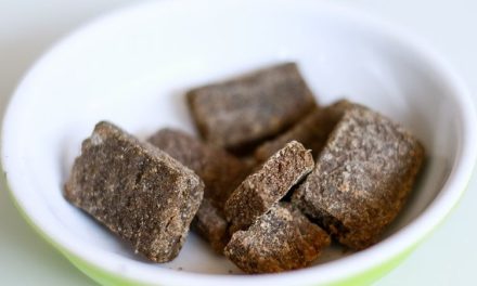 Bahan Memasak Terasi Yang Sudah Legendaris Di Indonesia