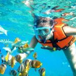 Kegiatan Menjelajah Lautan Dengan Aktivitas Snorkeling