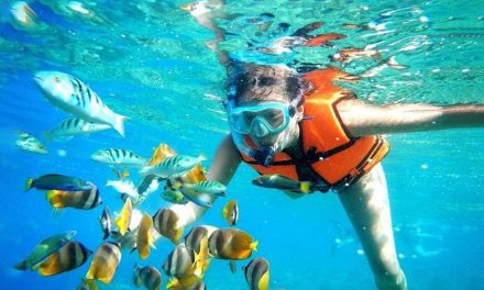 Kegiatan Menjelajah Lautan Dengan Aktivitas Snorkeling