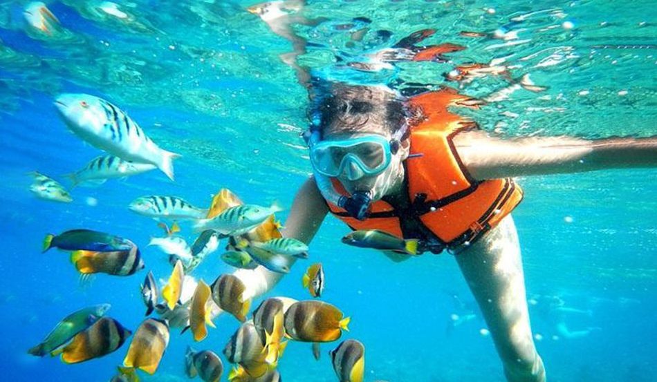Kegiatan Menjelajah Lautan Dengan Aktivitas Snorkeling