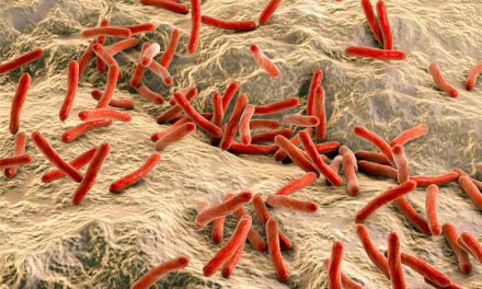 Keberadaan Mikroorganisme Kecil Yang Berbahaya Yaitu Virus
