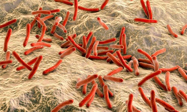 Keberadaan Mikroorganisme Kecil Yang Berbahaya Yaitu Virus