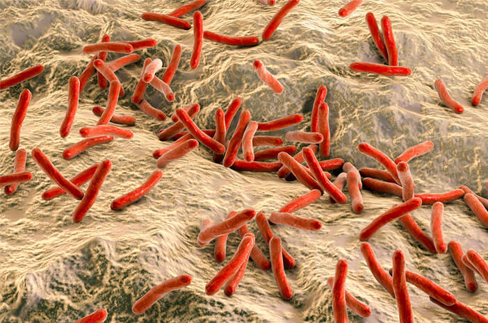 Keberadaan Mikroorganisme Kecil Yang Berbahaya Yaitu Virus
