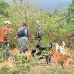 Kegiatan Mencari Mangsa Atau Berburu Hewan Hutan