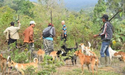 Kegiatan Mencari Mangsa Atau Berburu Hewan Hutan
