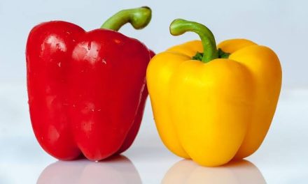 Sayuran Jenis Paprika Yang Cukup Enak Di Konsumsi