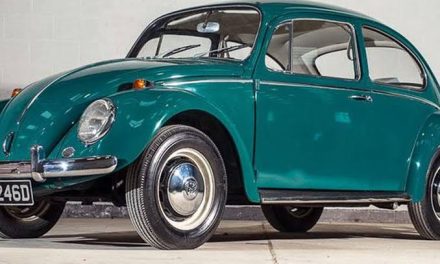 Kendaraan Unik Mobil Kodok Volkswagen Beetle